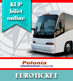 Autokary Polonia Transport, Wydruk i podgląd biletu Voyager